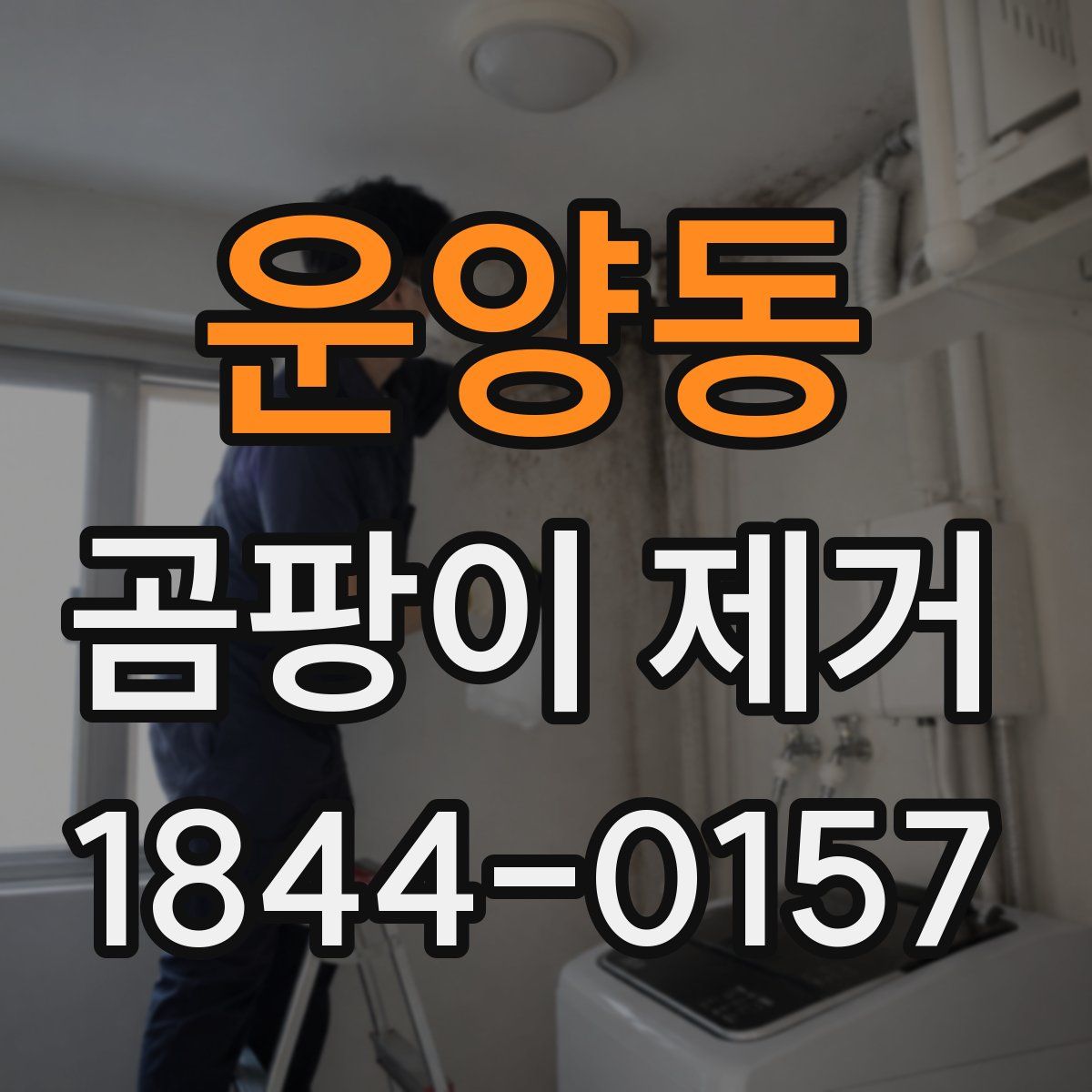 운양동 곰팡이 제거