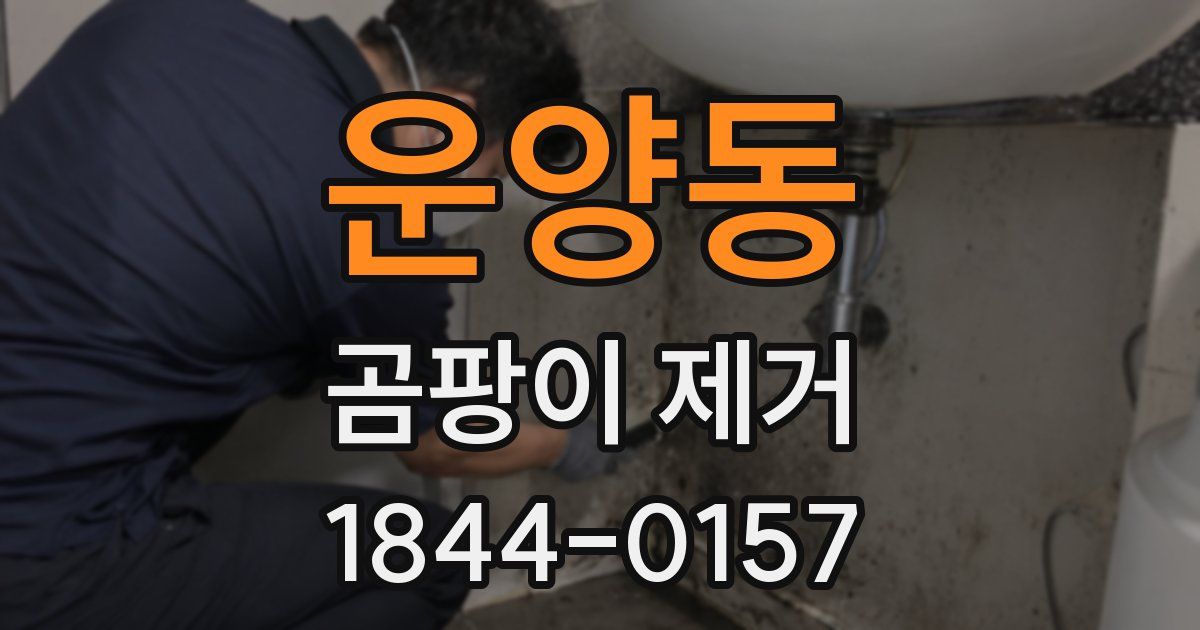운양동 곰팡이 제거