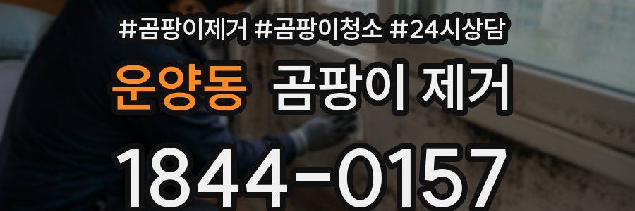 운양동 곰팡이 제거