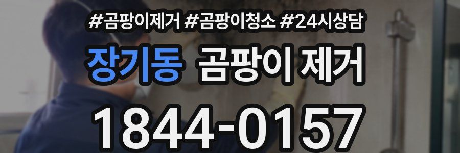 장기동 곰팡이 제거