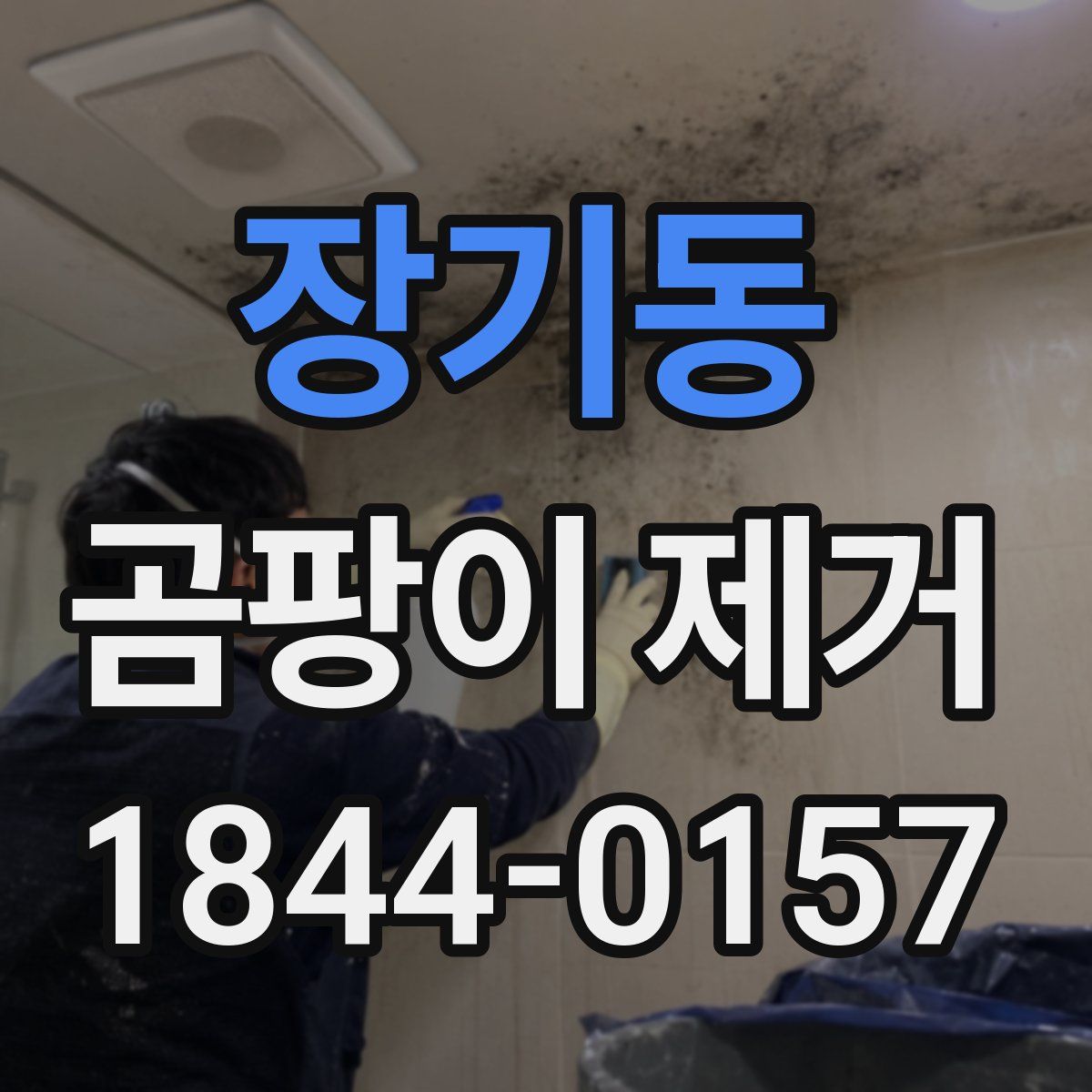 장기동 곰팡이 제거