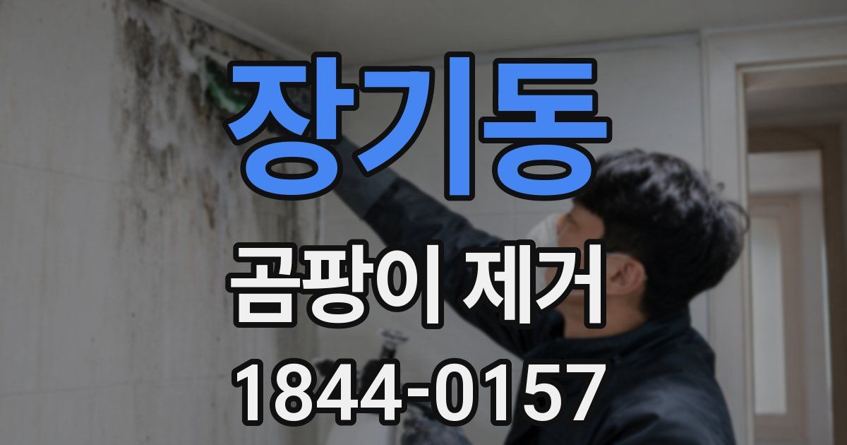 장기동 곰팡이 제거