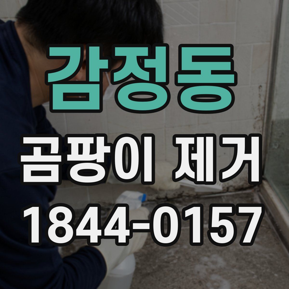 감정동 곰팡이 제거