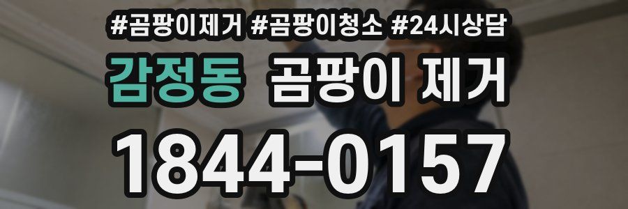 감정동 곰팡이 제거