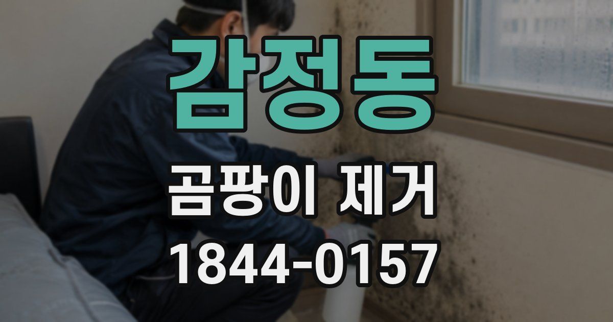 감정동 곰팡이 제거