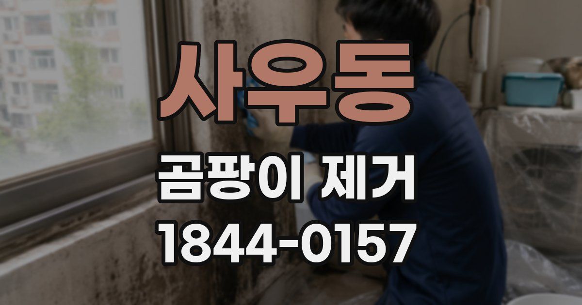 사우동 곰팡이 제거