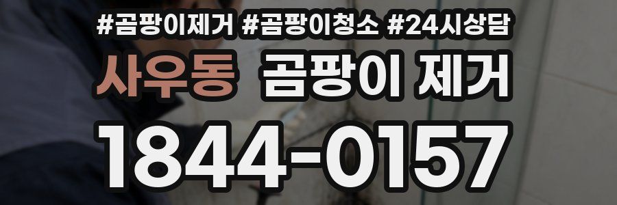 사우동 곰팡이 제거