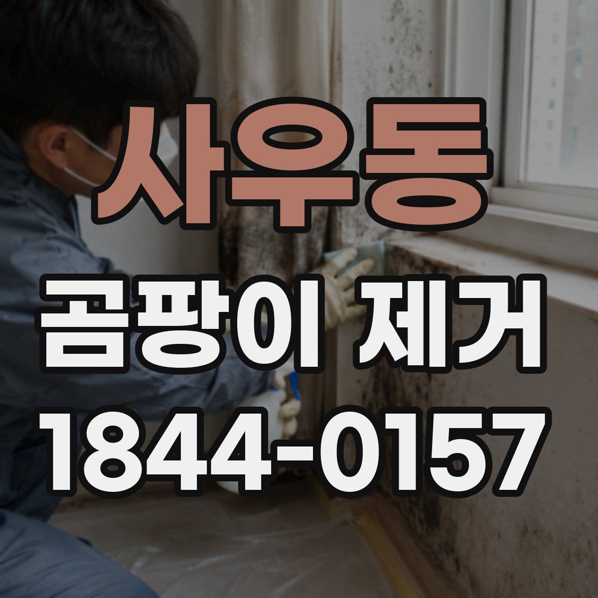 사우동 곰팡이 제거