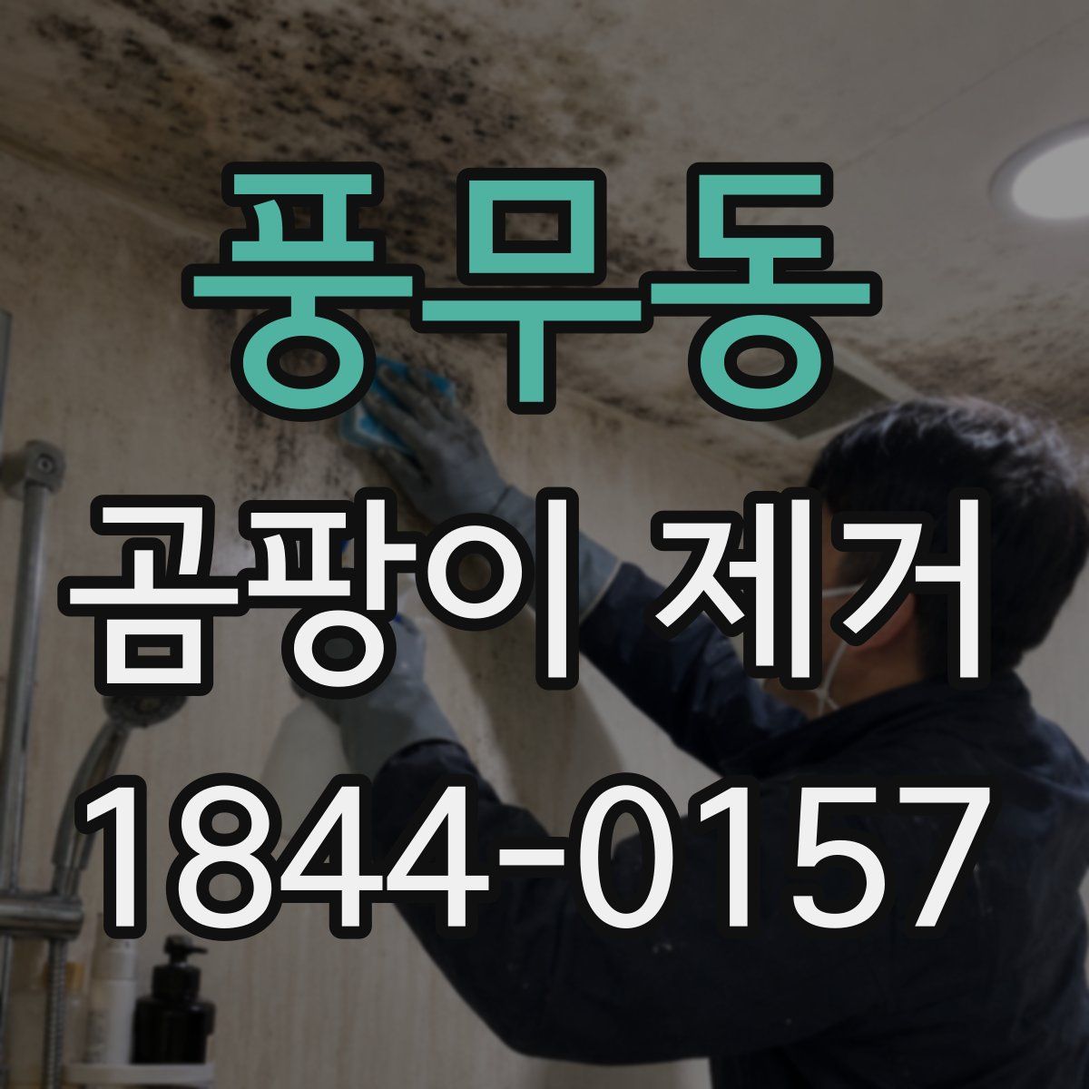 풍무동 곰팡이 제거