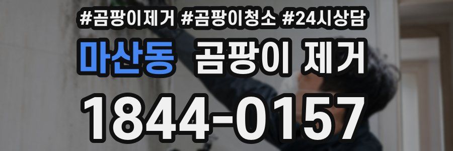 마산동 곰팡이 제거