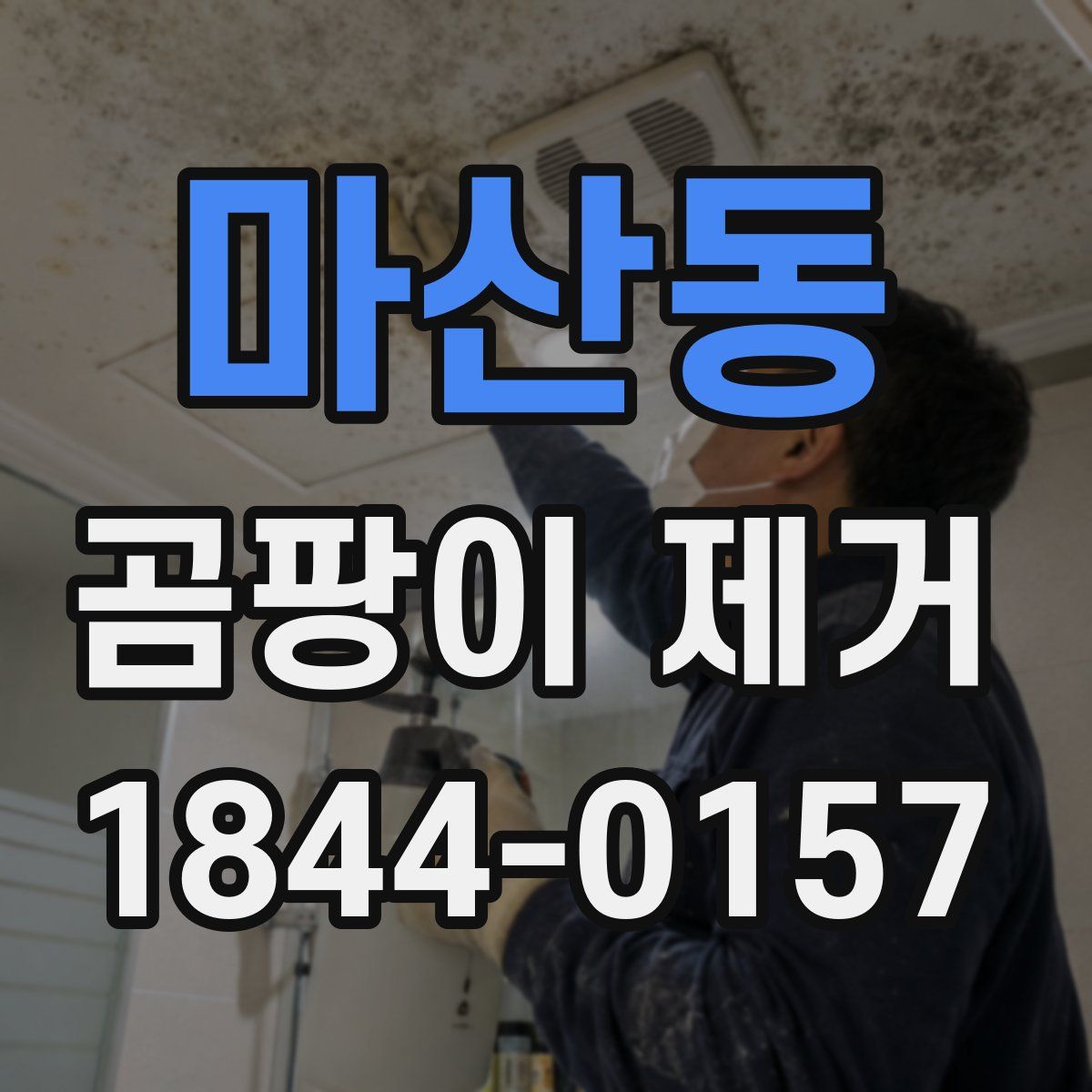 마산동 곰팡이 제거