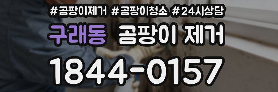 구래동 곰팡이 제거