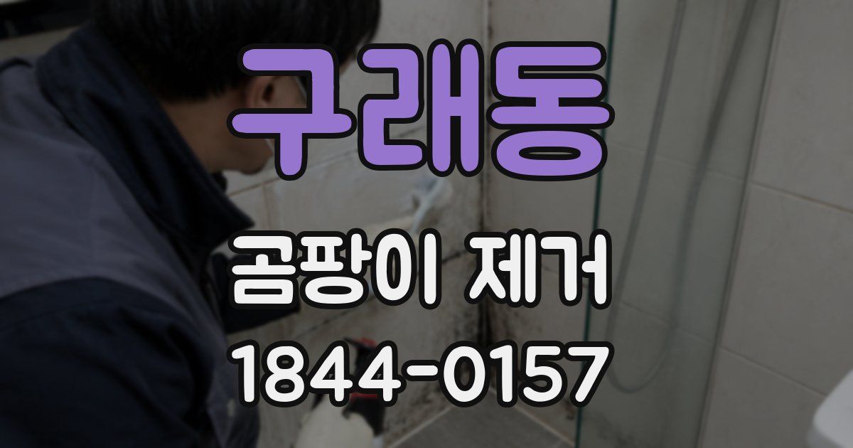 구래동 곰팡이 제거