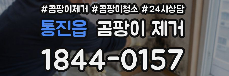 통진읍 곰팡이 제거