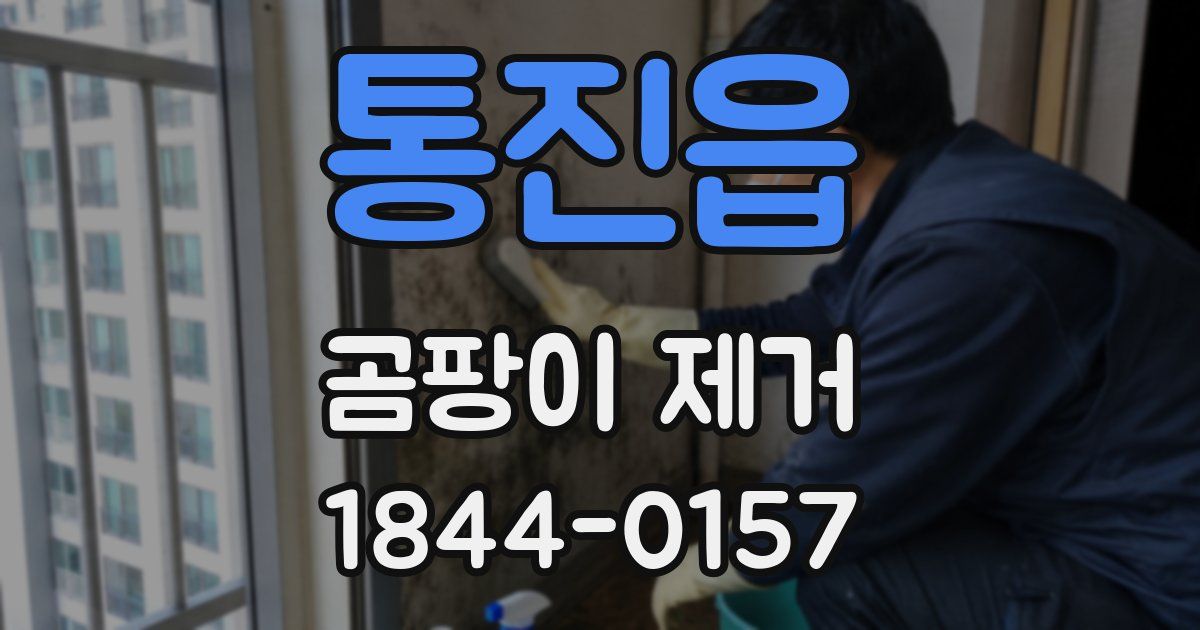 통진읍 곰팡이 제거