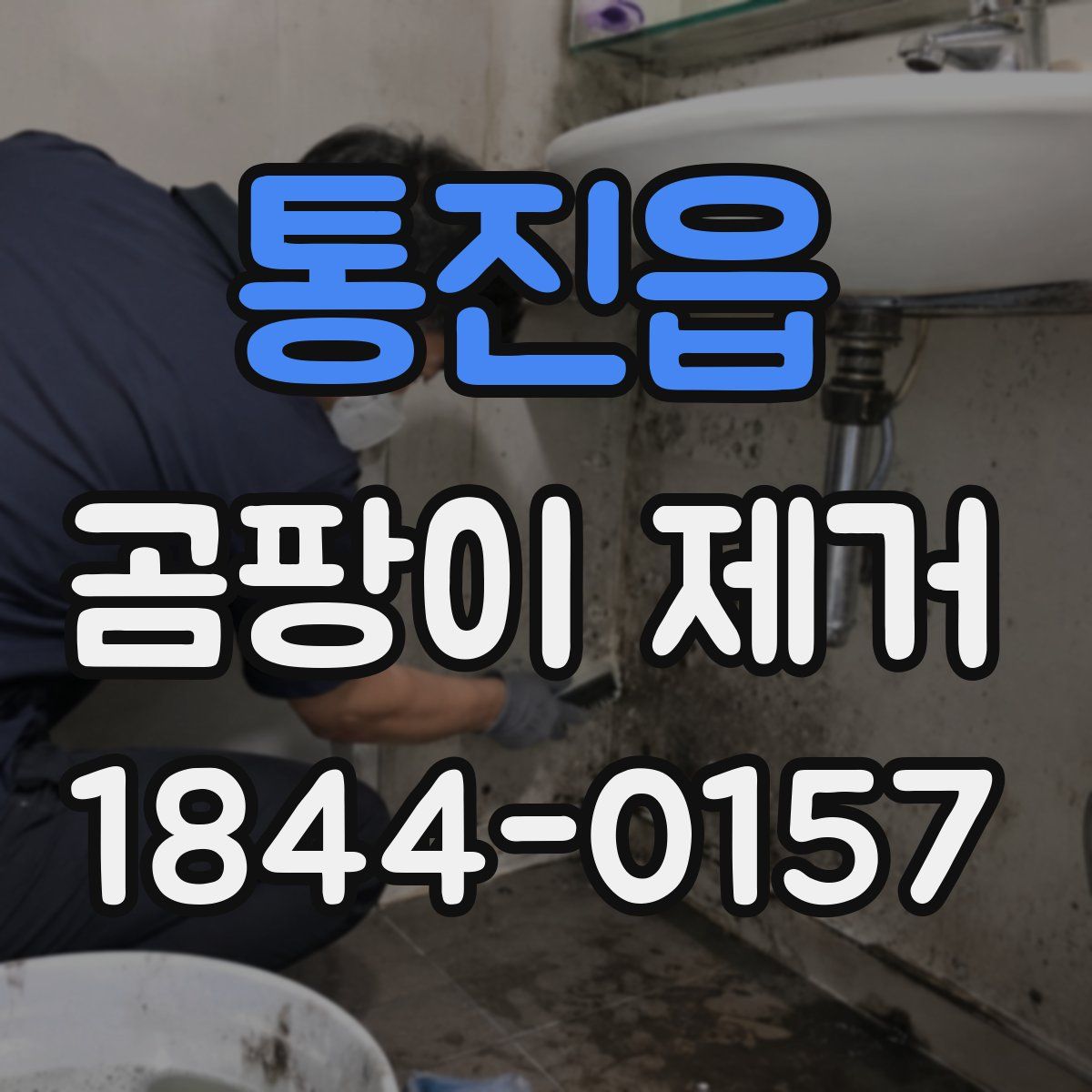 통진읍 곰팡이 제거