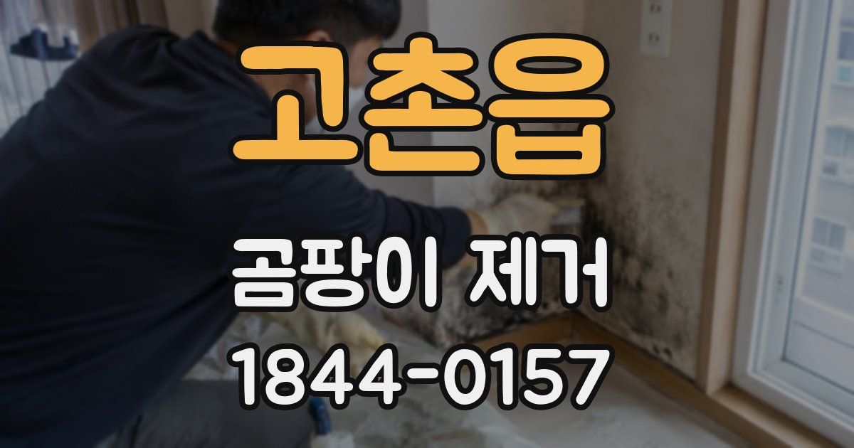 고촌읍 곰팡이 제거