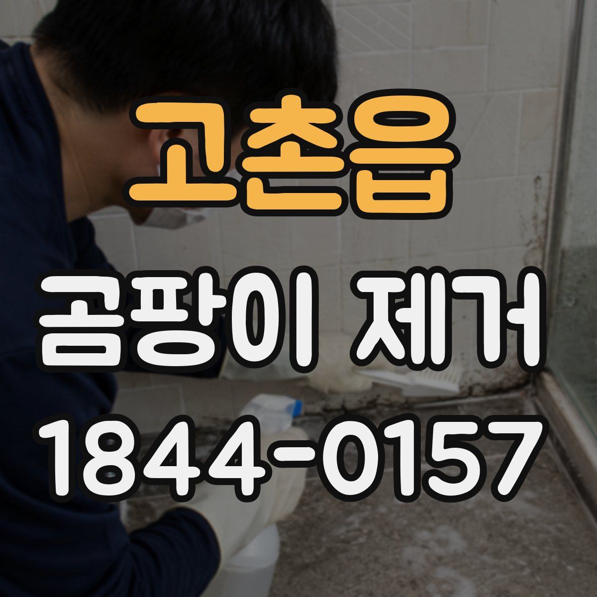 고촌읍 곰팡이 제거