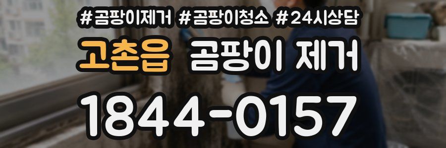 고촌읍 곰팡이 제거