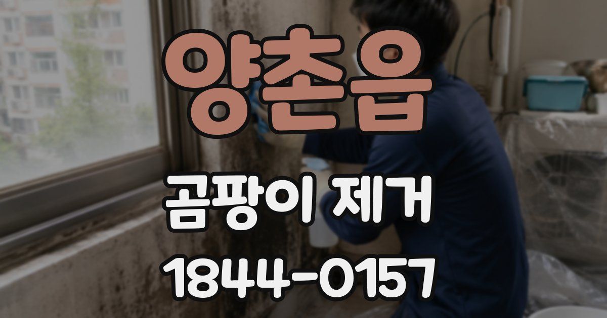양촌읍 곰팡이 제거
