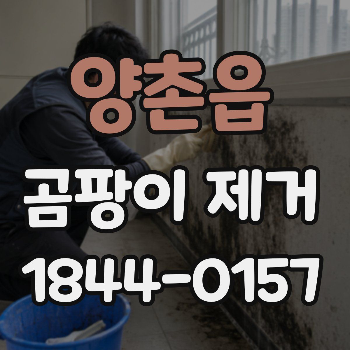 양촌읍 곰팡이 제거