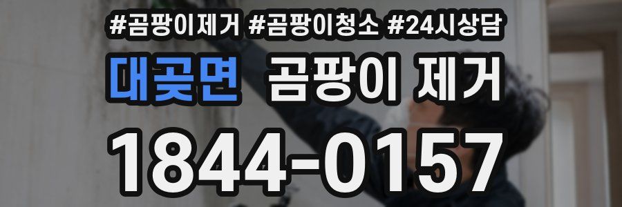 대곶면 곰팡이 제거