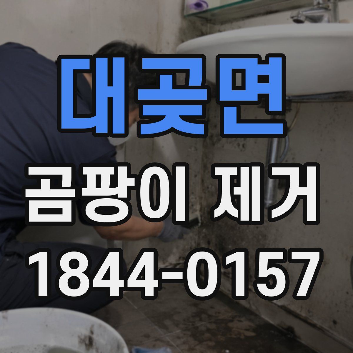 대곶면 곰팡이 제거