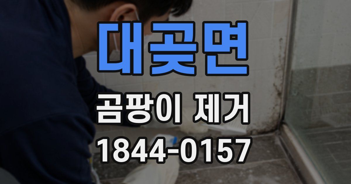 대곶면 곰팡이 제거