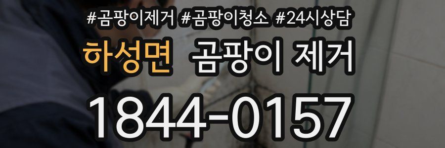 하성면 곰팡이 제거