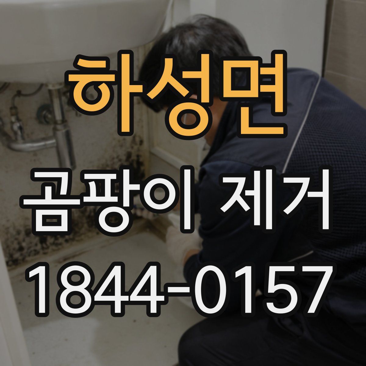 하성면 곰팡이 제거