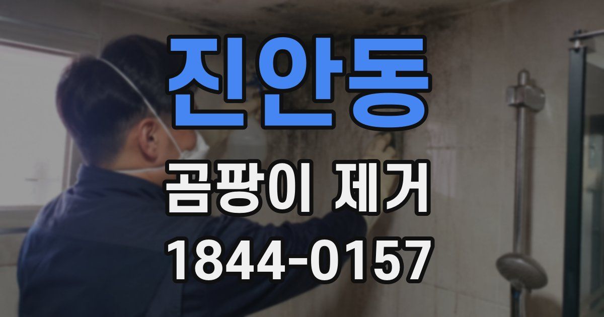 진안동 곰팡이 제거