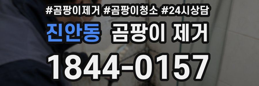 진안동 곰팡이 제거