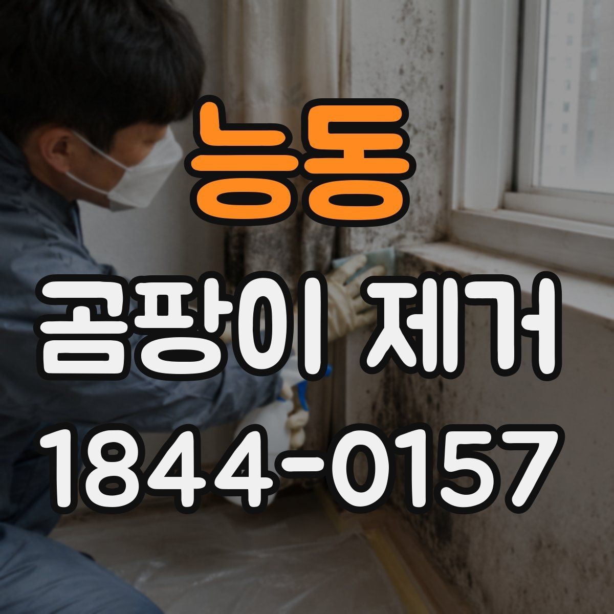 능동 곰팡이 제거 장마철 재발을 줄이는 관리 습관