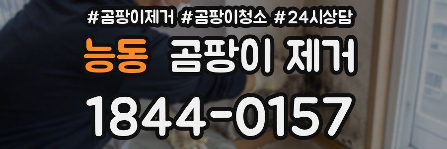 능동 곰팡이 제거