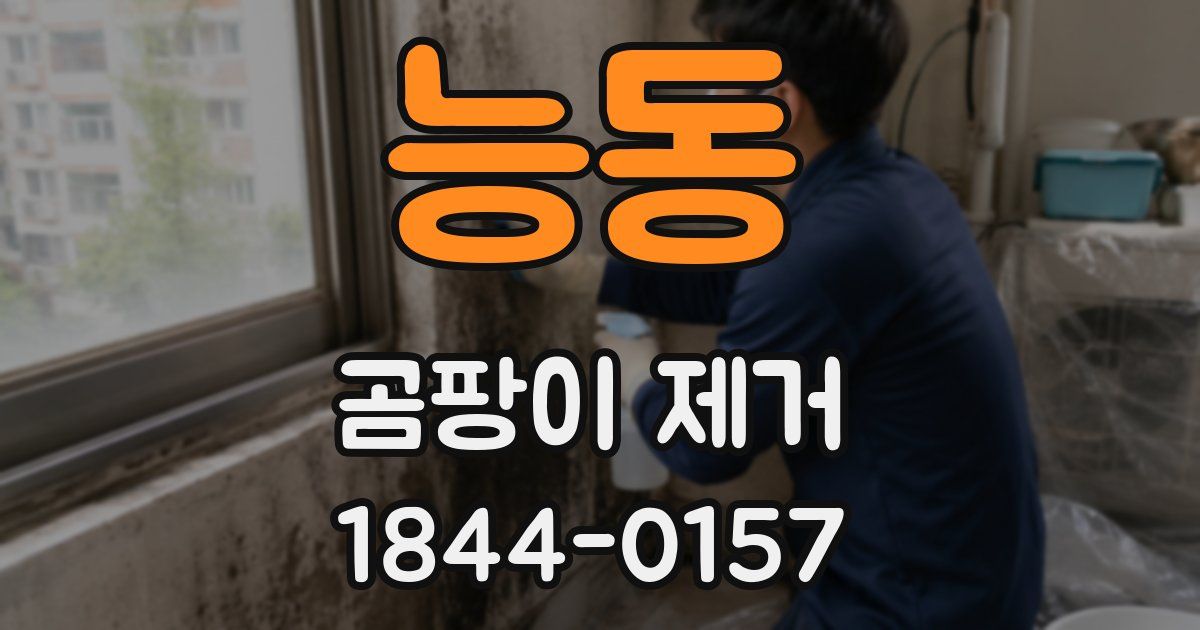 능동 곰팡이 제거