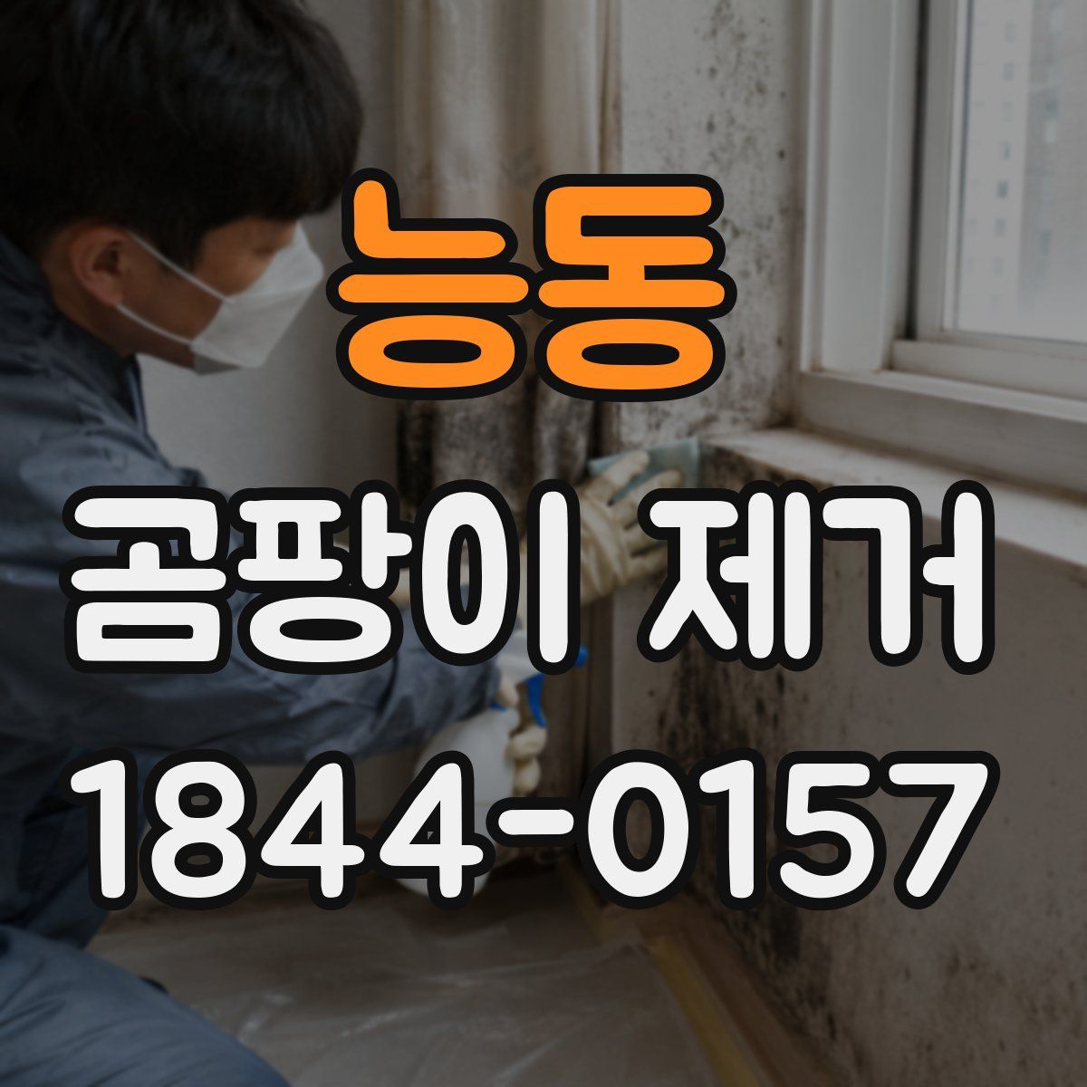 능동 곰팡이 제거