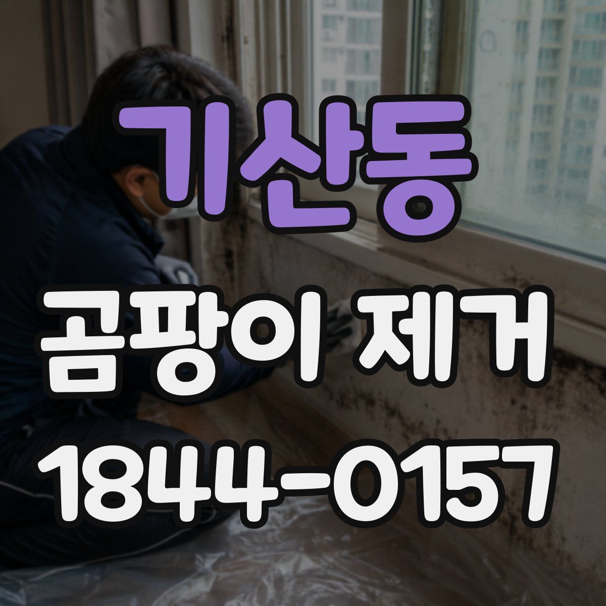 기산동 곰팡이 제거