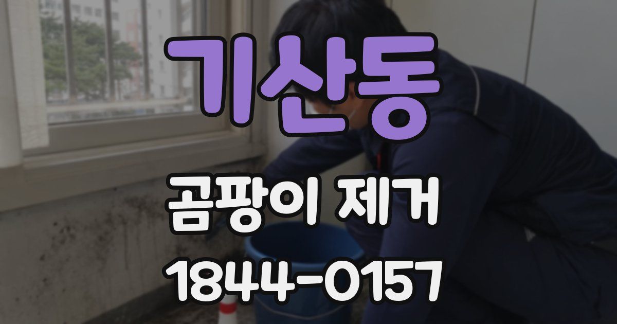 기산동 곰팡이 제거