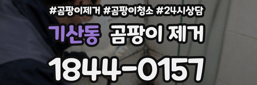 기산동 곰팡이 제거