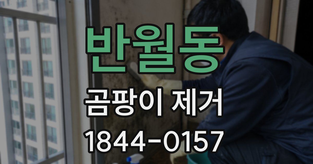 반월동 곰팡이 제거