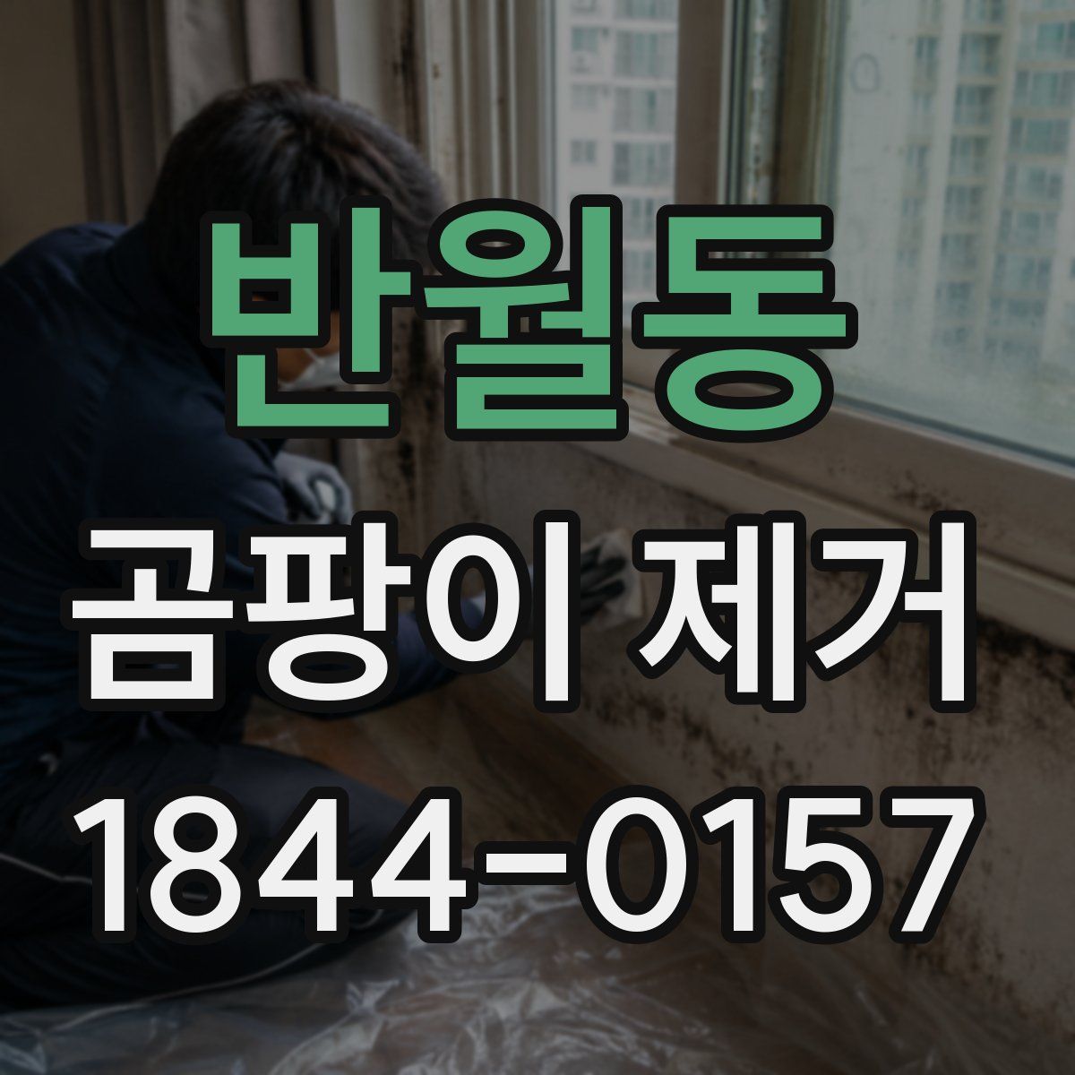 반월동 곰팡이 제거