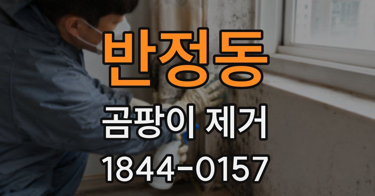 반정동 곰팡이 제거