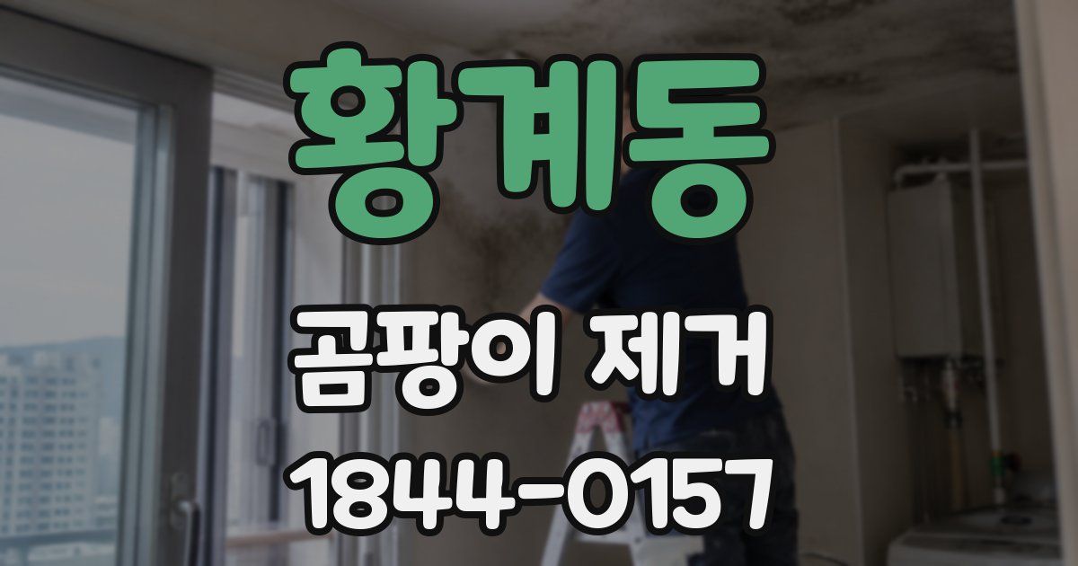 황계동 곰팡이 제거