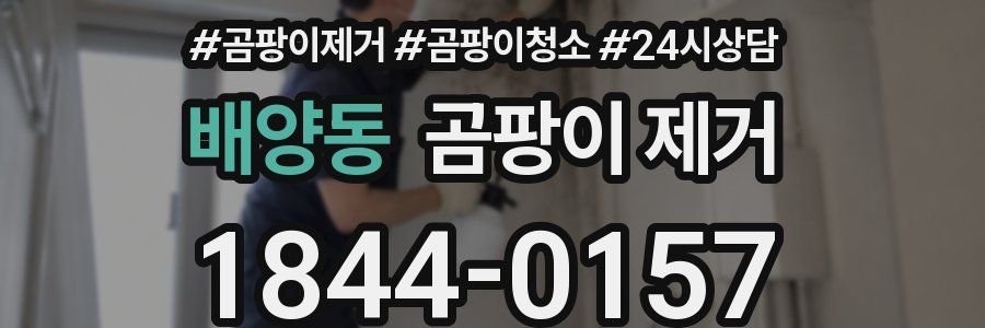 배양동 곰팡이 제거