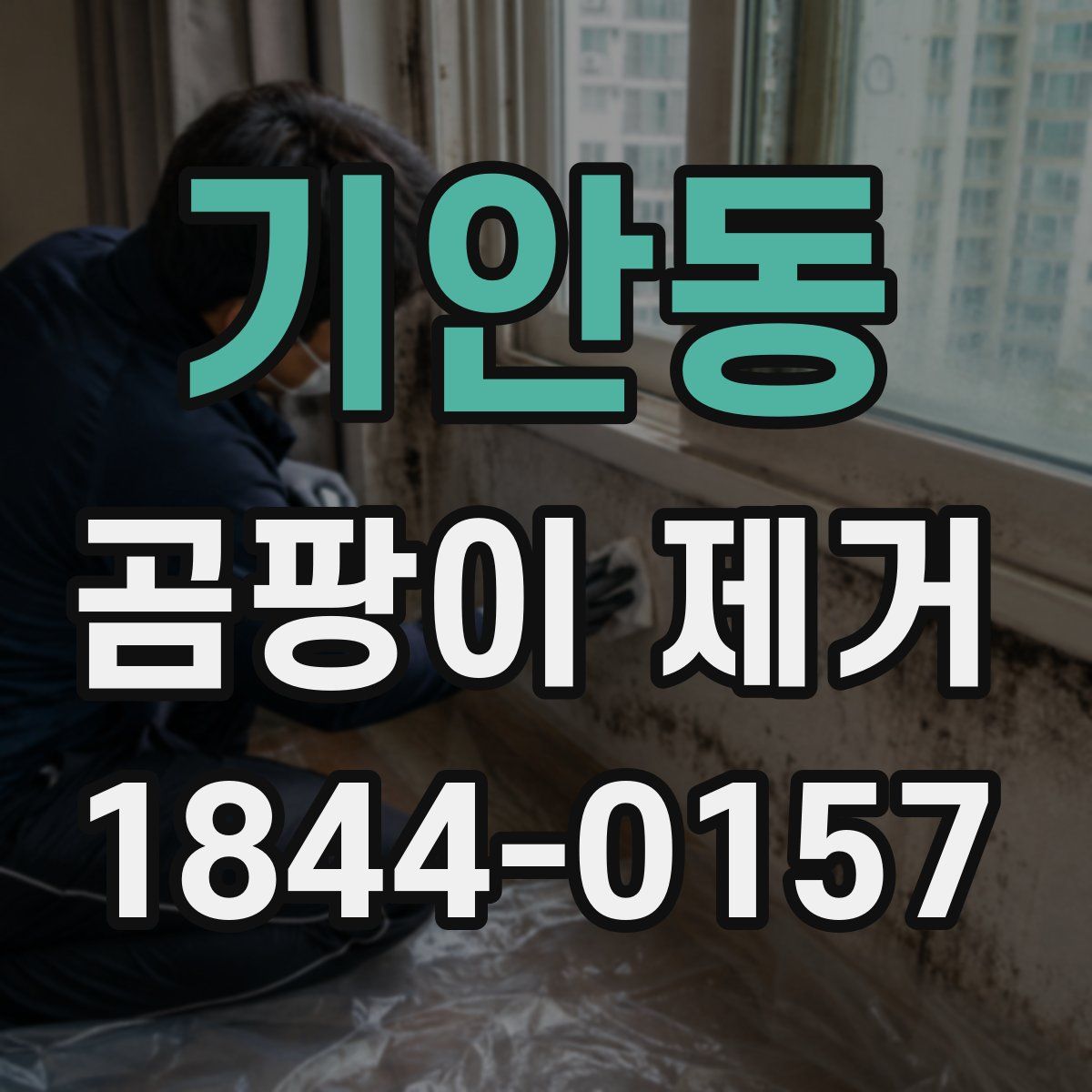 기안동 곰팡이 제거