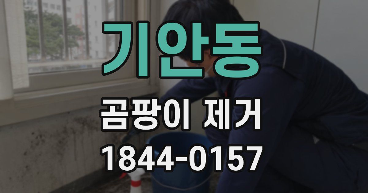 기안동 곰팡이 제거