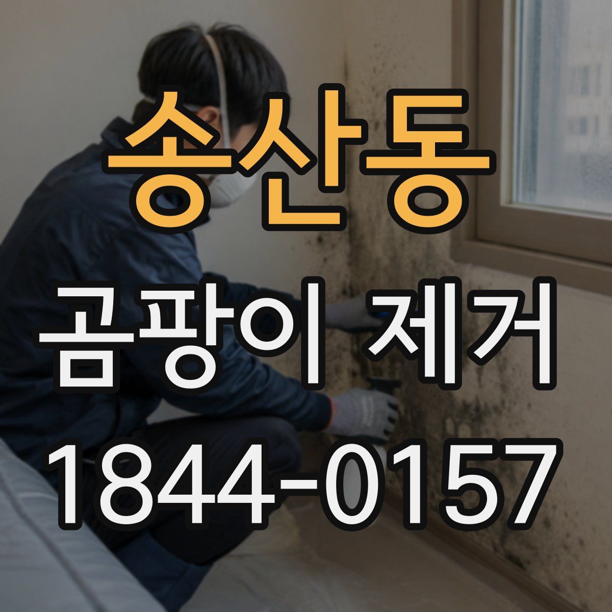 송산동 곰팡이 제거