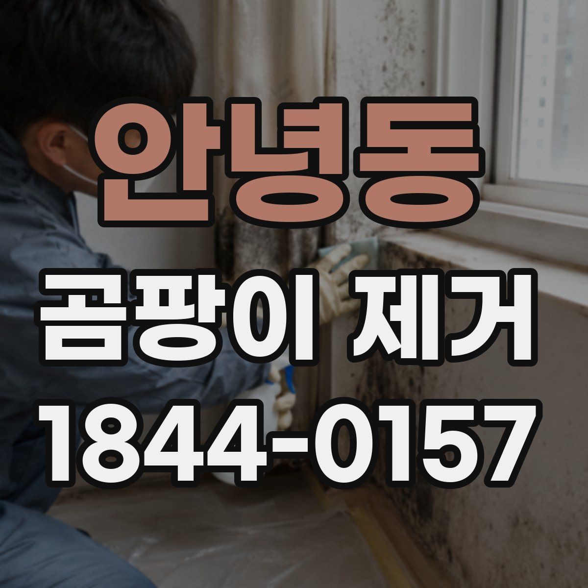 안녕동 곰팡이 제거 습기 키우는 생활 습관부터 바꾸기