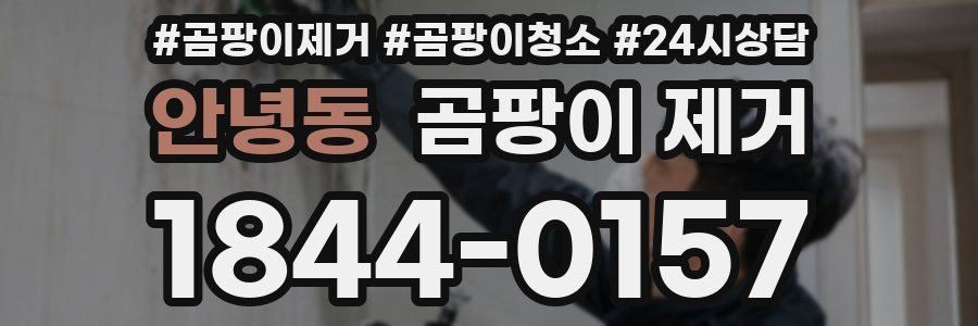 안녕동 곰팡이 제거