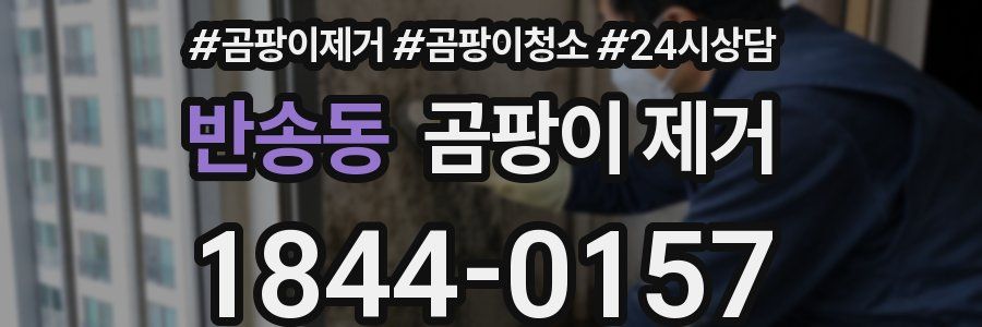 반송동 곰팡이 제거